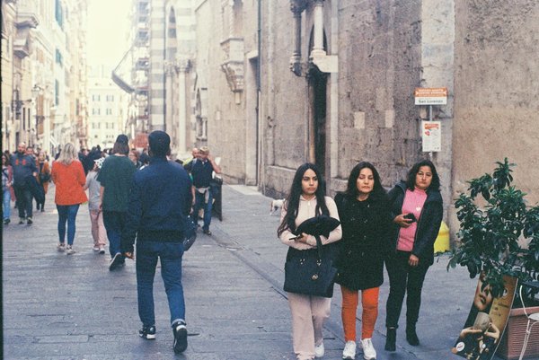 Los mejores ingredientes para y por qué son importantes