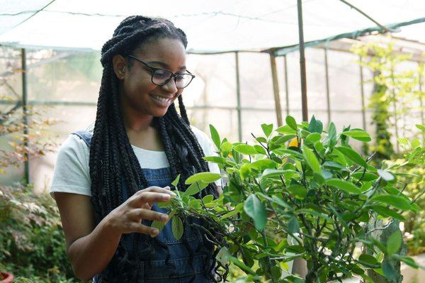 Principales tendencias empresariales en 2024 y más allá