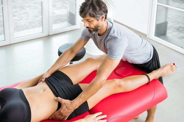 Cómo elegir la mascota adecuada y sus efectos a largo plazo